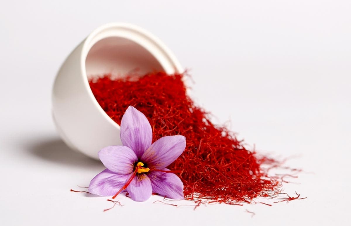 how-to-grow-saffron-at-home (1)